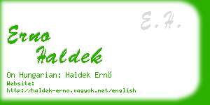 erno haldek business card